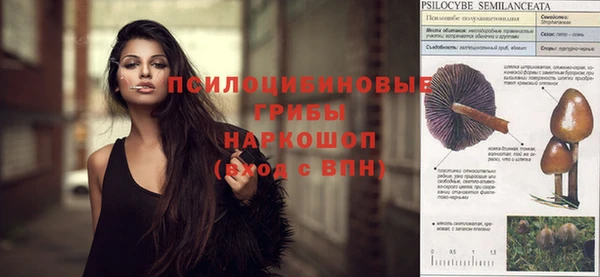 винт Новодвинск