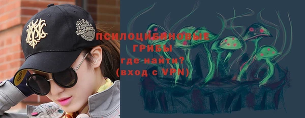 прущие грибы Нефтегорск