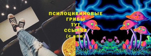 амф Нефтекумск